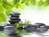 picture of zen  - spa concept with zen stones and flower - JPG 