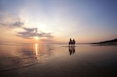 stock photo of equine  - The image of a couple in love at sunset in the sea - JPG 