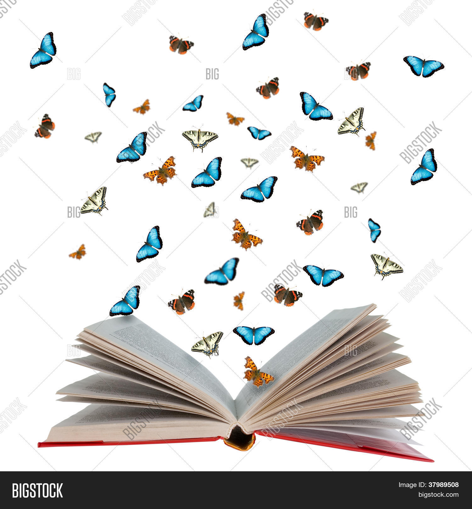 Open Book Butterflies Flying Image & Photo Bigstock
