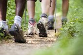 picture of section  - group of man and women during hiking excursion in woods walking in a queue along a path. Low section view
** Note: Shallow depth of field - JPG 