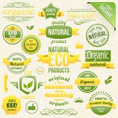 picture of globe  - Vector Organic Food - JPG 