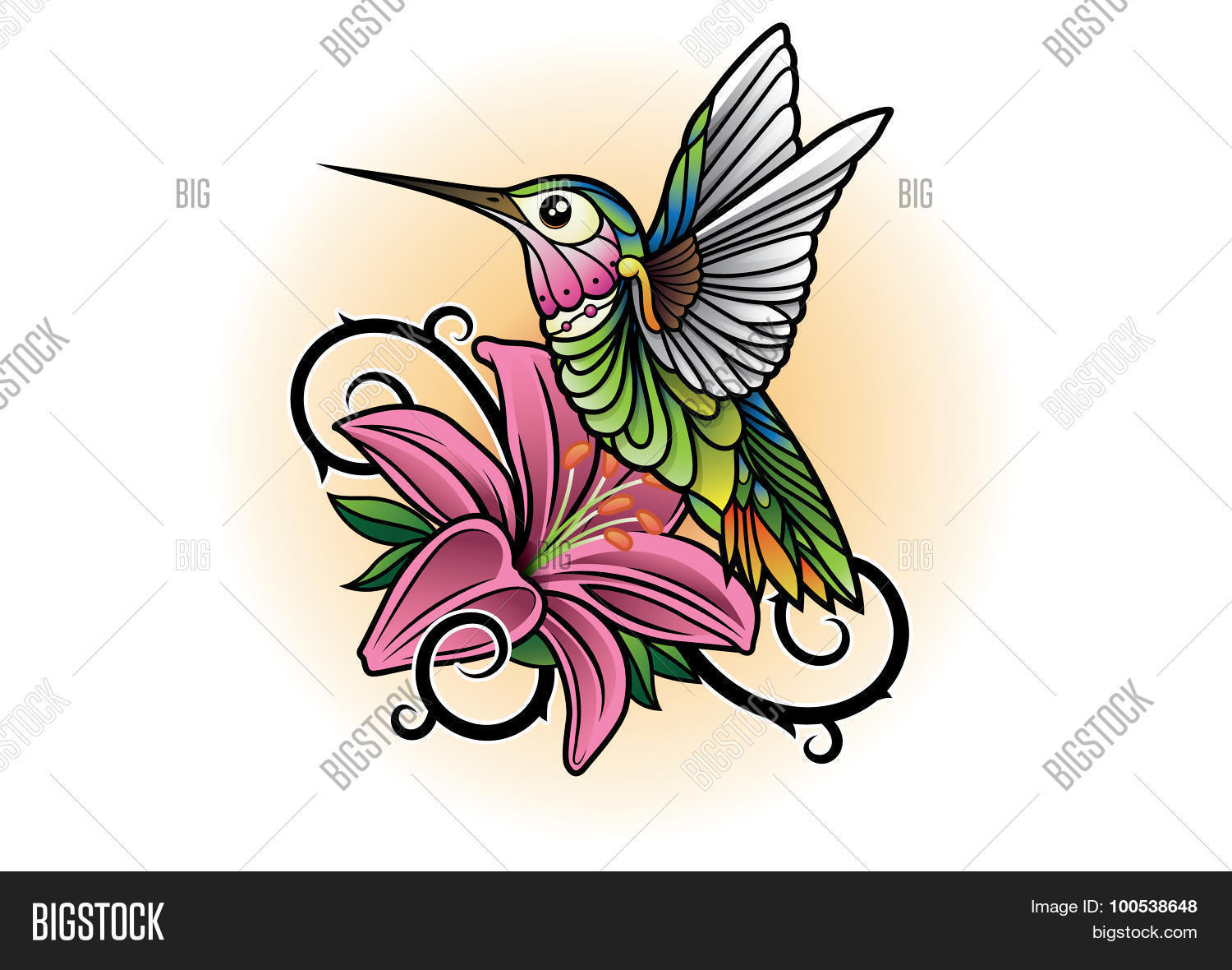 Image Preview