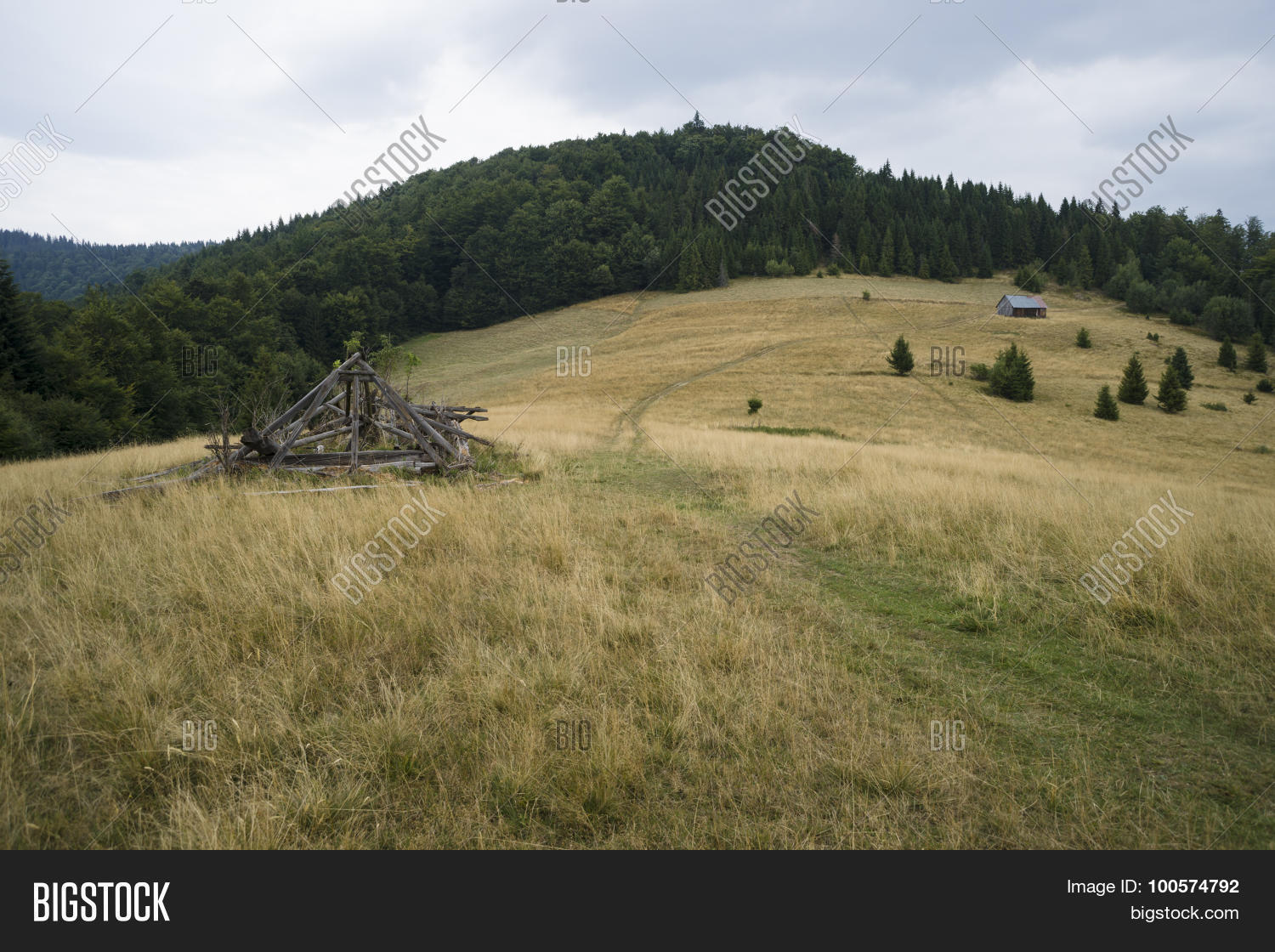Image Preview