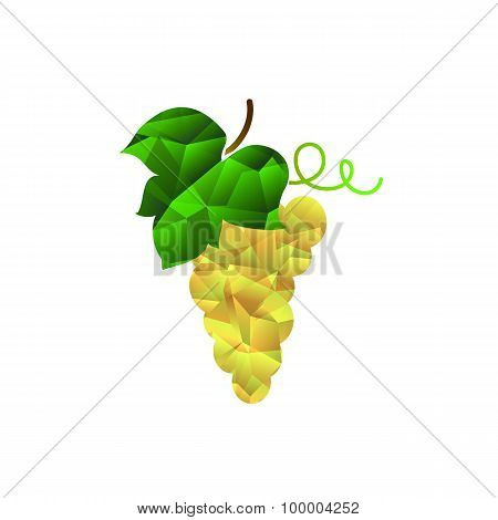 Grape with leaf