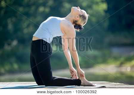 Ustrasana Pose