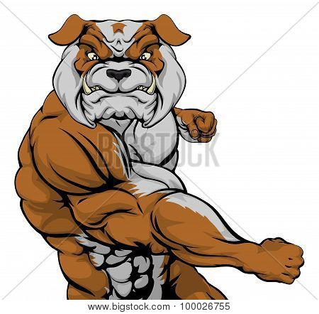 Bulldog Punching