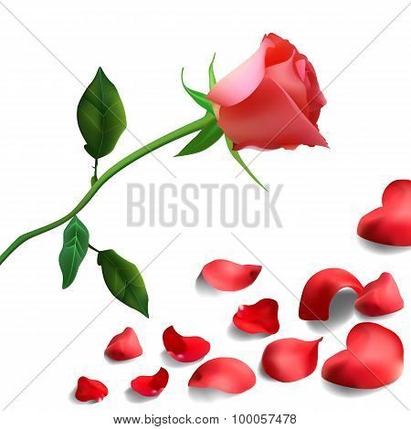 Background Of Red Rose Petals With Flower
