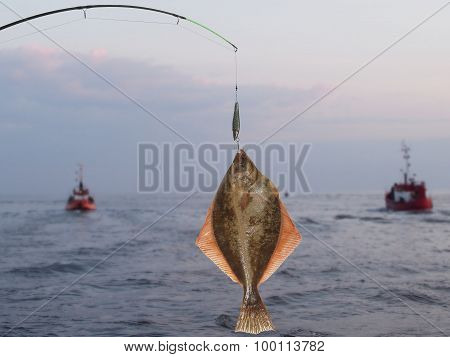 Big Fish Flounder