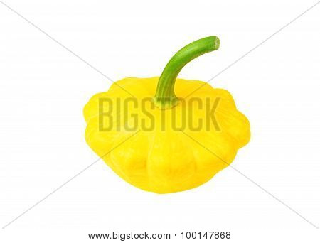 Scalloped custard squash (Cucurbita pepo var. patisson)