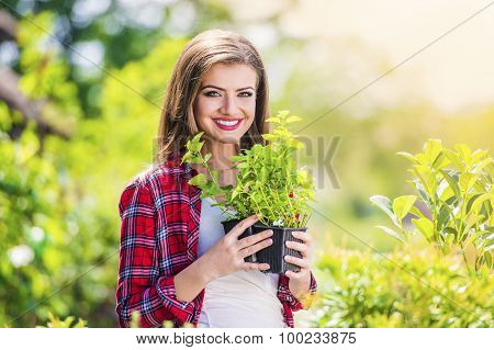 Beautiful young woman gardening