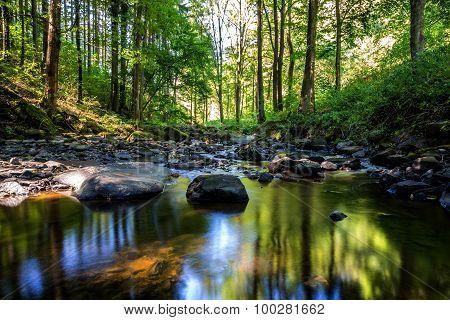 Small Wild River In Bohemian Forest