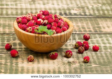 Wild strawberry in a plate on a table