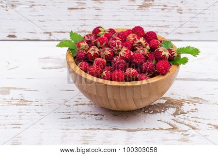 Wild strawberry in a plate on a table