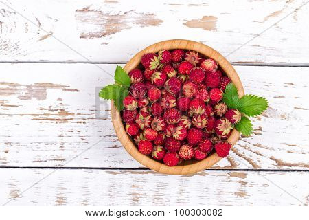 Wild strawberry in a plate on a table