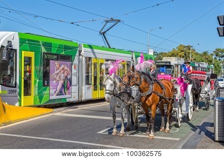 Melbourne City tour