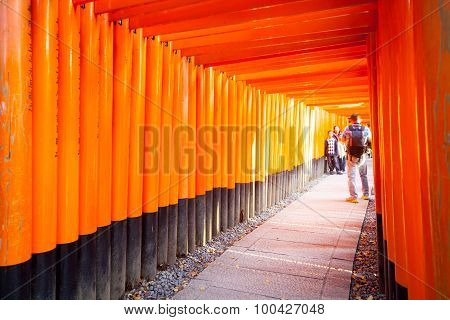 Torii Gates In Fushimi Inari Shrine, Kyoto, Japan