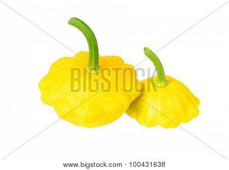 Scalloped custard squash (Cucurbita pepo var. patisson)