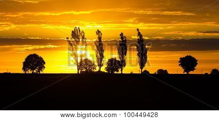 Beautiful Vibrant Sunset Over Field
