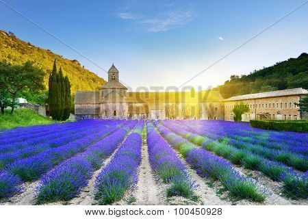Abbey Of Senanque