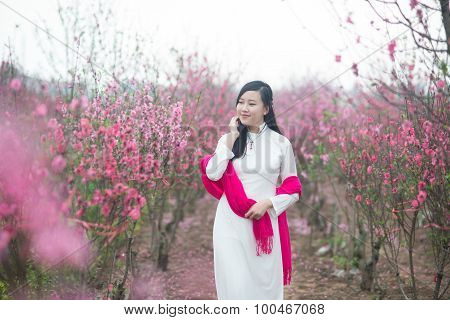 Beautiful Vietnamese girl with traditional dress (ao dai) is in peach flower garden in Hanoi, Vietna