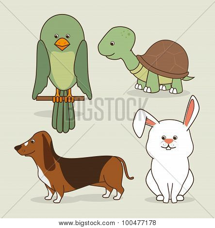 Pet design.