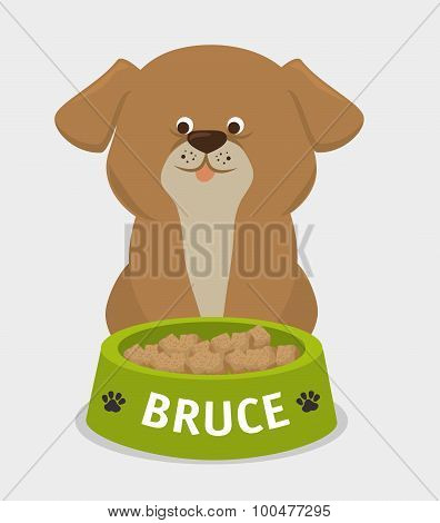 Pet design.
