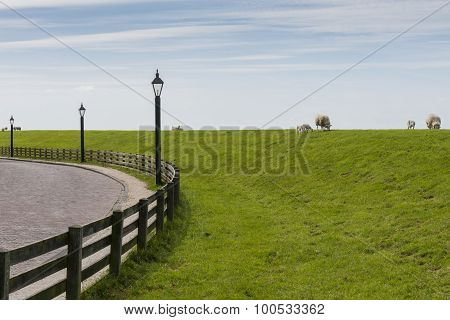 Sheep On Dike
