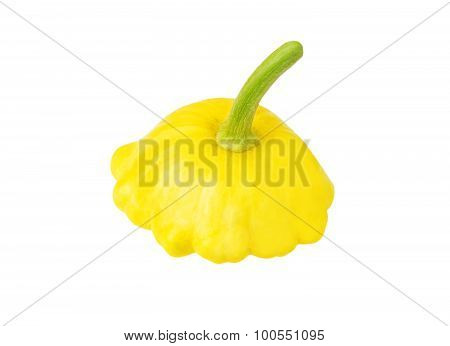 Scalloped custard squash (Cucurbita pepo var. patisson)
