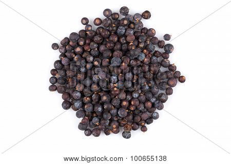 Dried Black Currant