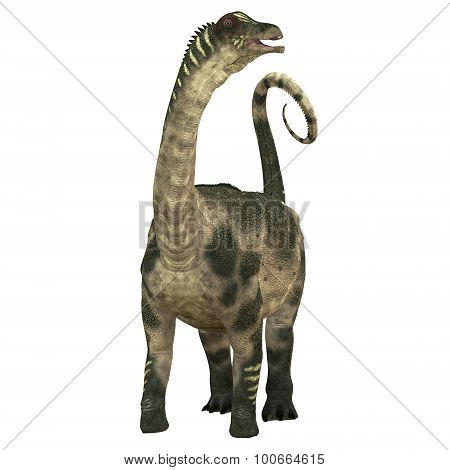Antarctosaurus Over White