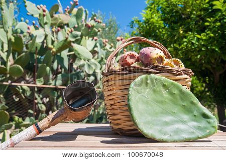 Harvest Time