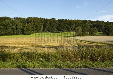 Landscape With Fields And Border Of A Wood