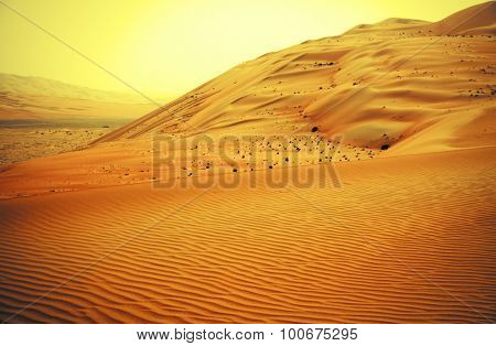 Amazing sand dune formations in Liwa oasis United Arab Emirates