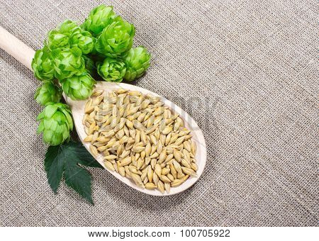 Fresh Hops And Barley Grain - Closeup