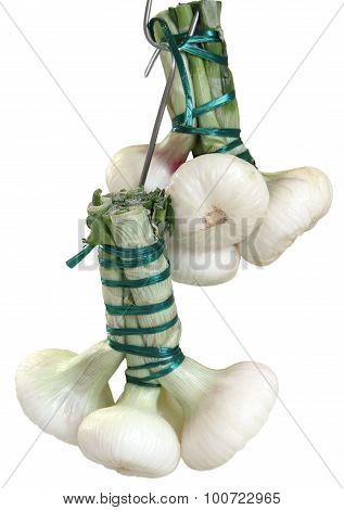 White Onion