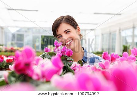 Smiling Woman, In Greenhouse With Cyclamen Plants