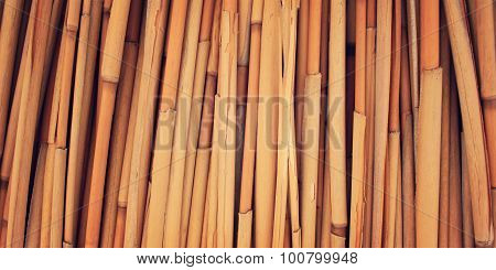 Dried Haulm Texture. Aged Photo. Bamboo Like Grass Close Up.