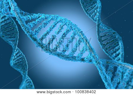 DNA Molecules