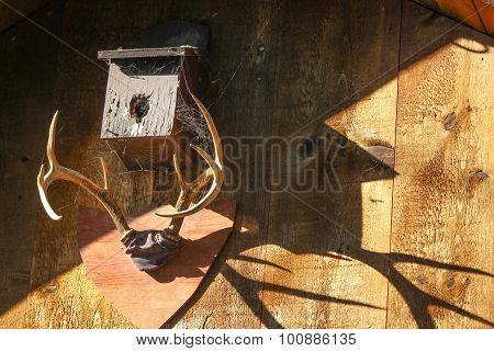 Wall Hanger