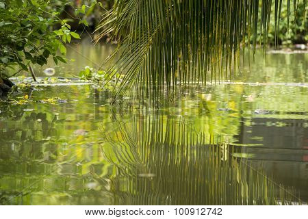 Asia Thailand Samut Songkhram Tha Kha Landscape