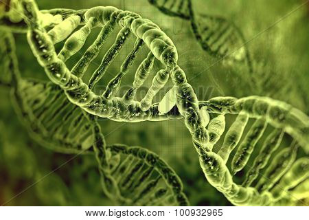 Dna Molecules