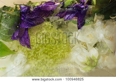 Frozen   Flower Of         Jessamine And Hydrangea, Campanula