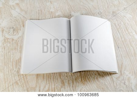 Blank Opened Book