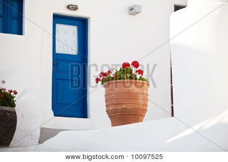 Hrnec květin na Santorini