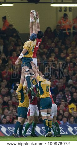 CARDIFF, WALES. 28 NOVEMBER 2009. Luke Charteris of Wales wins a lineout  while playing in the  International Rugby Union match between Wales and Australia at the Millennium Stadium. 