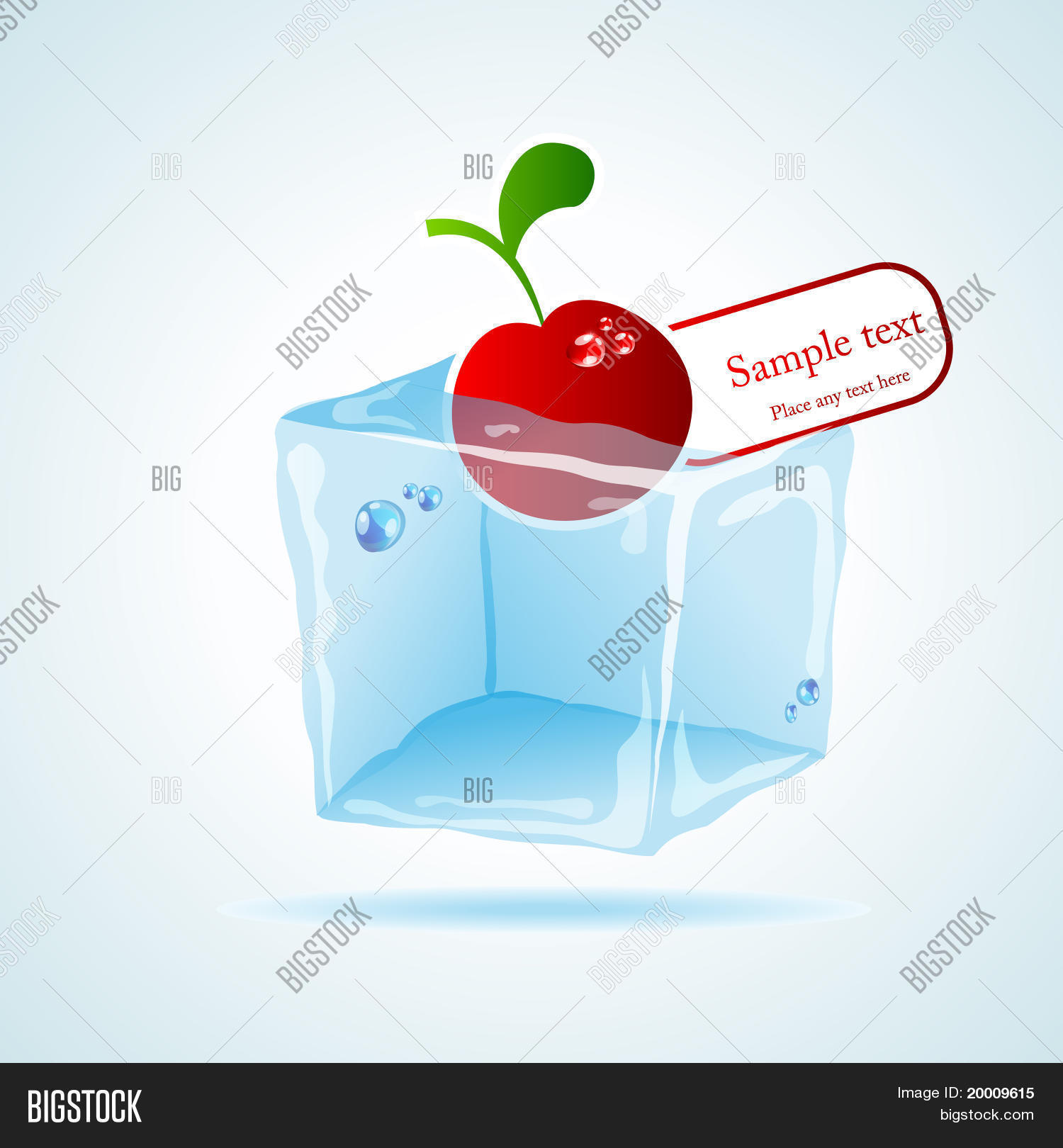 Image Preview