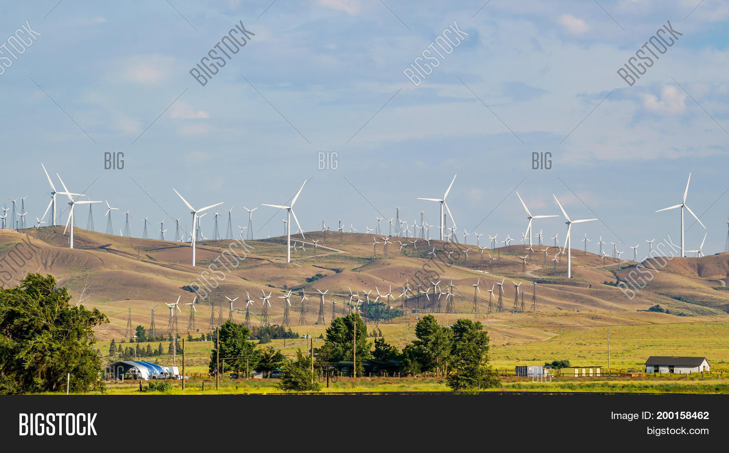 Image Preview
