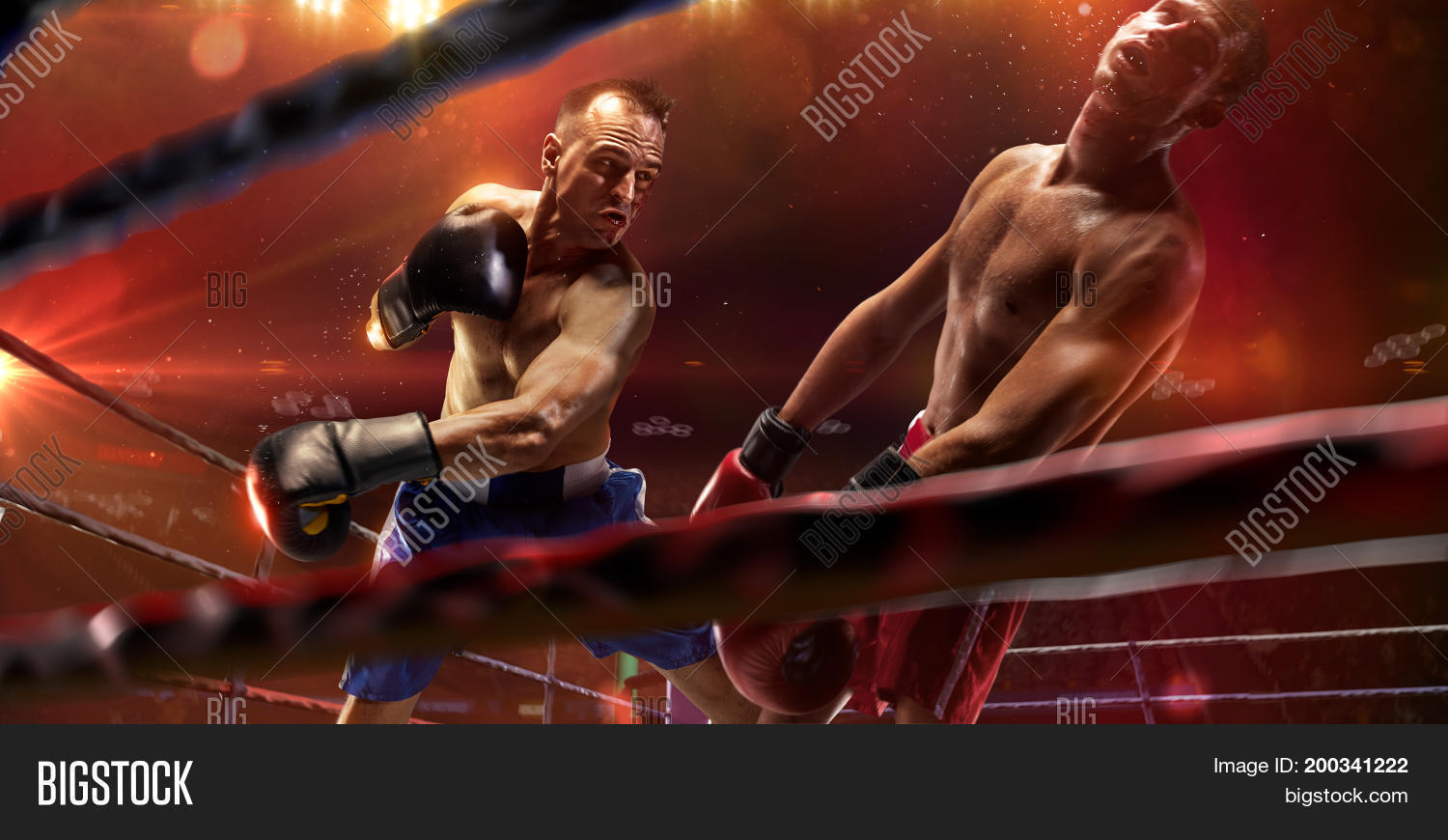 Image Preview