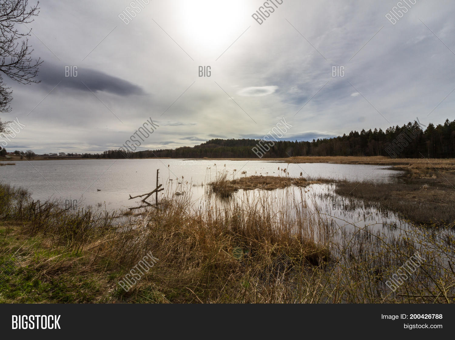 Image Preview