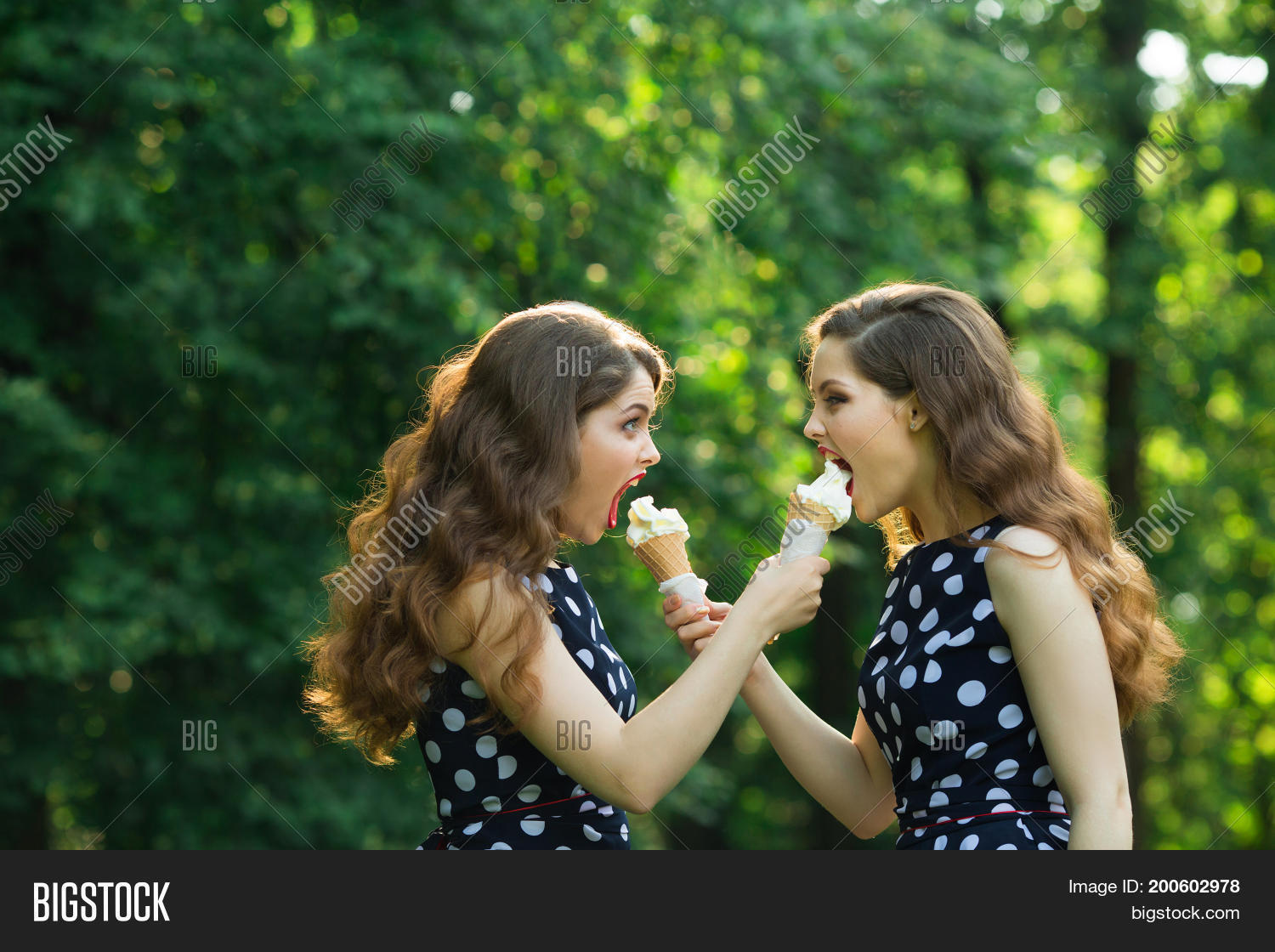 Image Preview